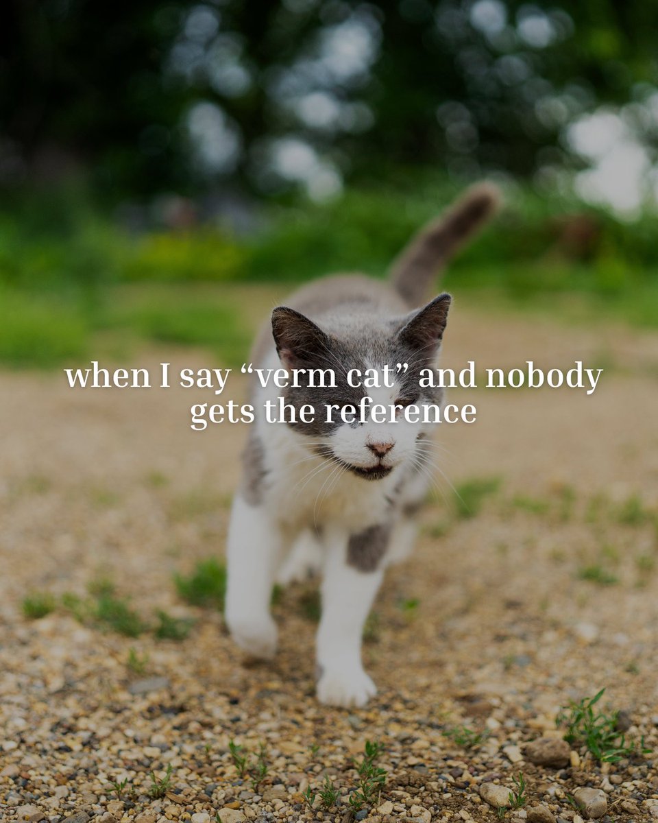 Do you get it, Yotes?