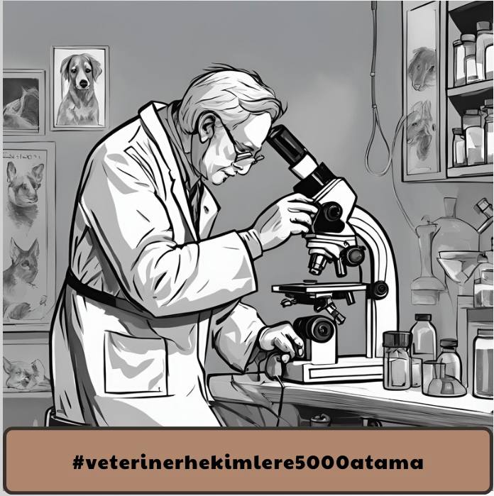 <a href="/Vethatama2024/">2024 Veteriner Hekimler Atama Platformu</a> <a href="/RTErdogan/">Recep Tayyip Erdoğan</a> <a href="/_cevdetyilmaz/">Cevdet Yılmaz</a> <a href="/TCTarim/">T.C. Tarım ve Orman Bakanlığı</a> <a href="/milliparklar/">Milli Parklar</a> <a href="/ibrahimyumakli/">İbrahim Yumaklı</a> <a href="/AhmetGumen/">Ahmet GÜMEN</a> <a href="/bekirgizligider/">Ebubekir GİZLİGİDER</a> <a href="/Seyfullahaslntk/">Seyfullah Arslantürk</a> <a href="/kadircokcetin06/">Kadir ÇOKÇETİN</a> #veterinerhekimlere5000atama