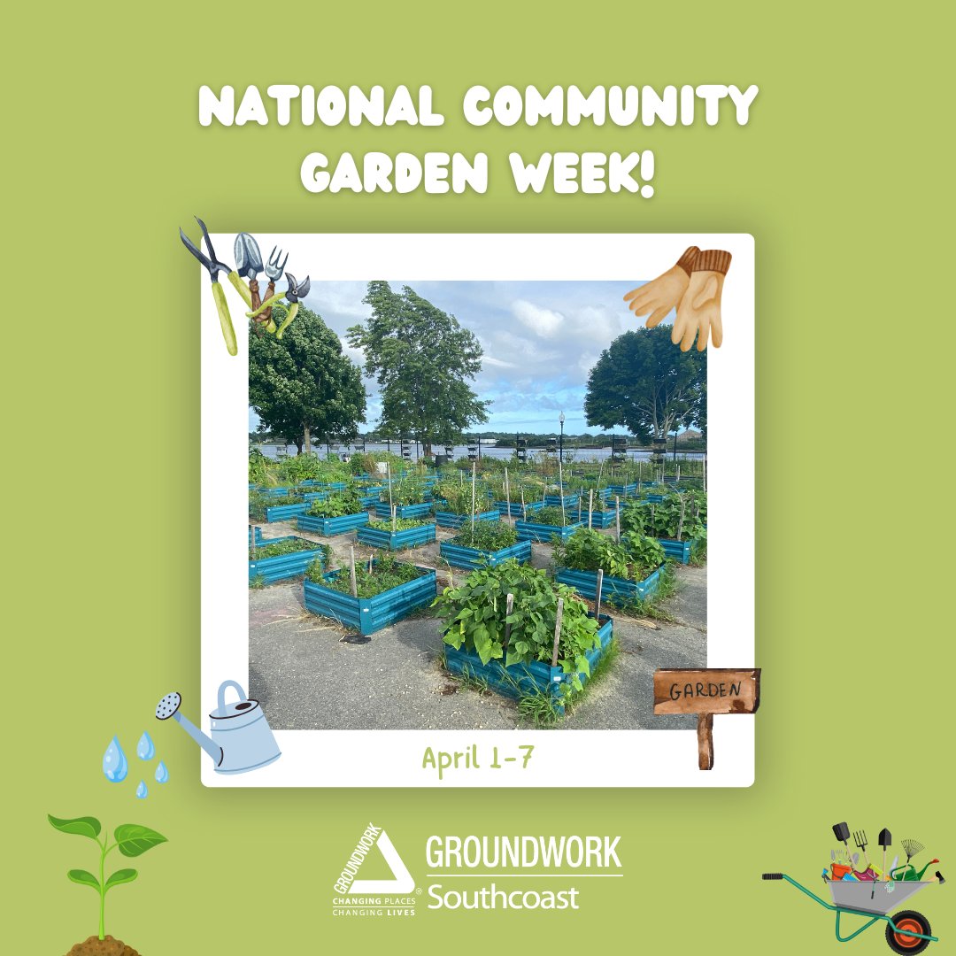 It's National #CommunityGarden Week! 🌱
We're celebrating the spaces that grow more than food—they grow community, connection, and resilience.

Whether you've volunteered, donated, or just stopped by—you help our gardens thrive. Let's grow together! 💚