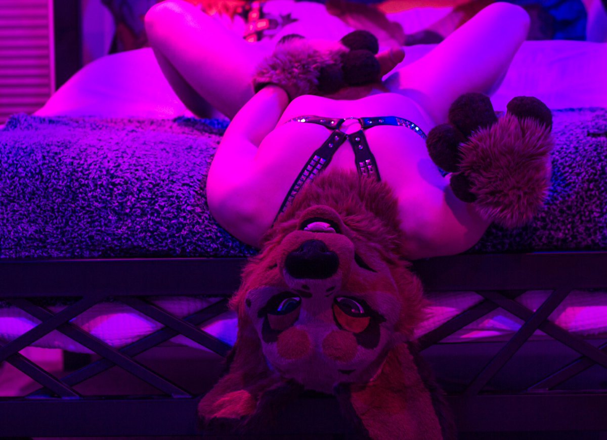 Finn’s Bone 🔜 LVFC tweet media