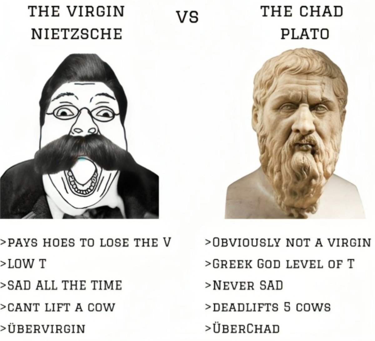 tulpapilled's tweet image. 