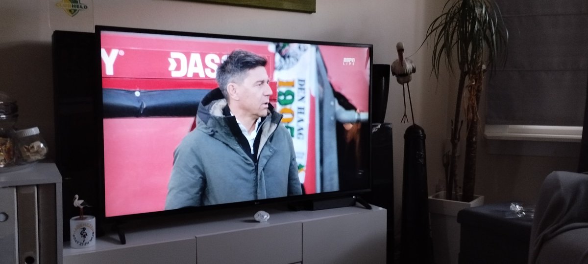 #utrado Subtiel.. Legia Den Haag sjaal 😜😂💛💚