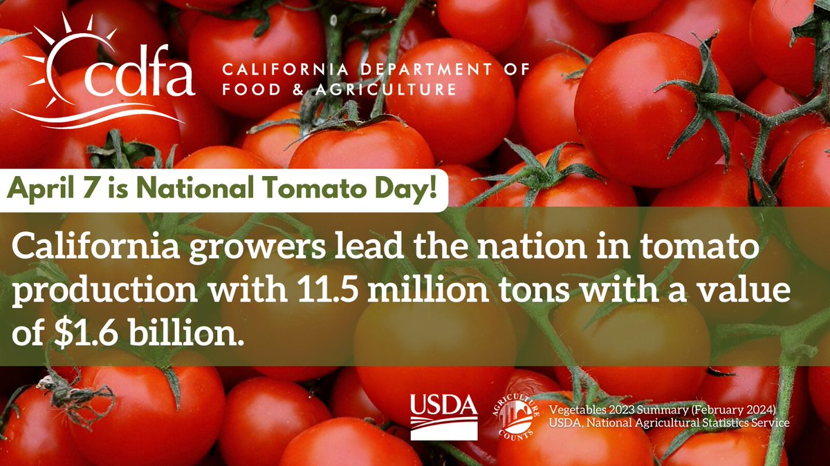 CDFAnews's tweet photo. It’s National Tomato Day! 🍅 Let’s give a shout-out to California farmers and farmworkers, who are crushing it, growing 11.5 million tons of tomatoes, valued at $1.6 billion. California leads the U.S. in tomato production! #NationalTomatoDay #CalAg #CDFA https://t.co/f8TylmoW77