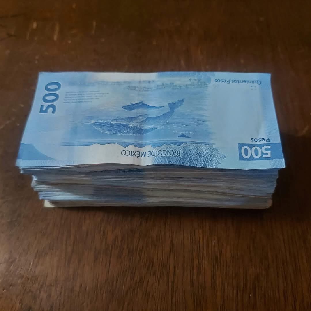 Diego Palafox | Apuestas tweet media