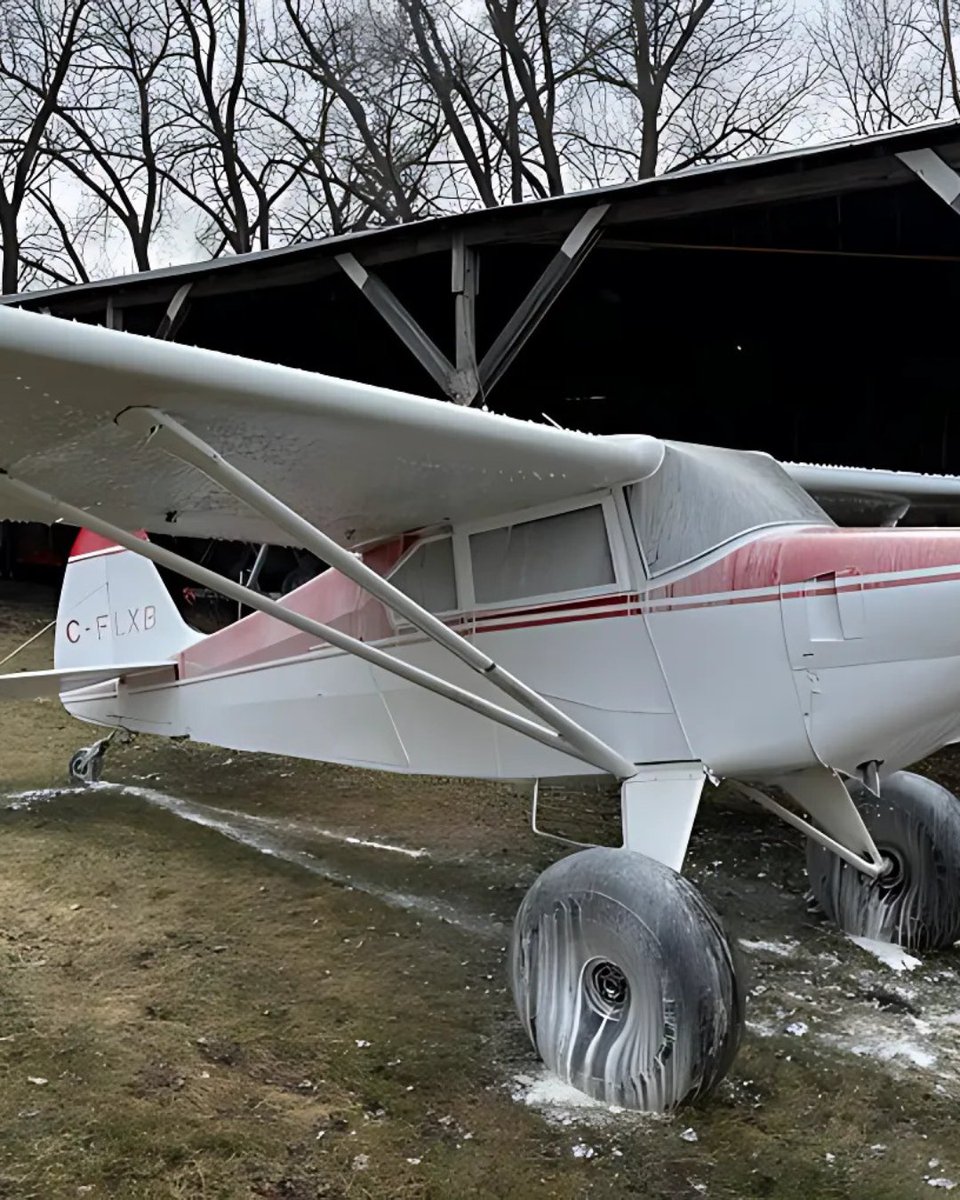 prairiejanitor1's tweet photo. From farm equipment to airplanes, Ver-Tech gets the job done! 🚜✈️

Shoutout to @silverstarag for sharing—Ver-Tech truck wash is built to handle it all. 

Find a supplier near you on our page and see the difference for yourself! 💦

#vertech #truckwash #farmequipment #carcleaner https://t.co/H4zrsmtOYF
