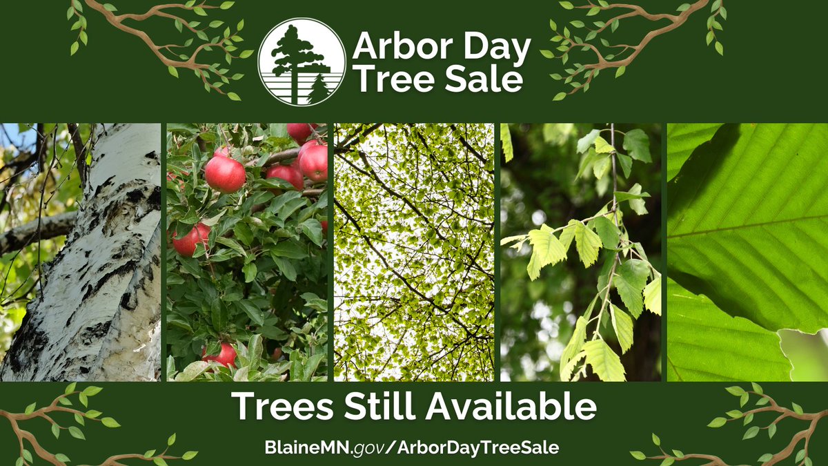The Arbor Day Tree Sale is still going! 🌳
There is still time to purchase trees at wholesale prices through Blaine's Arbor Day Tree Sale!
These trees are well-suited for Minnesota’s climate and will provide years of beauty and shade.
See the full list👇
BlaineMN.gov/ArborDayTreeSa…