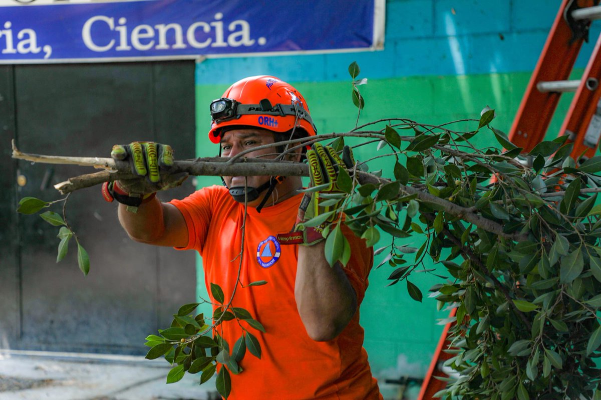 Como parte de la #JornadaDeMitigación, ejecutamos acciones para reducir el riesgo de caída de árboles y evitar incidentes en la temporada invernal.

📍 Urbanización Montes de San Bartolo, etapa 4, distrito de Soyapango, San Salvador Este.