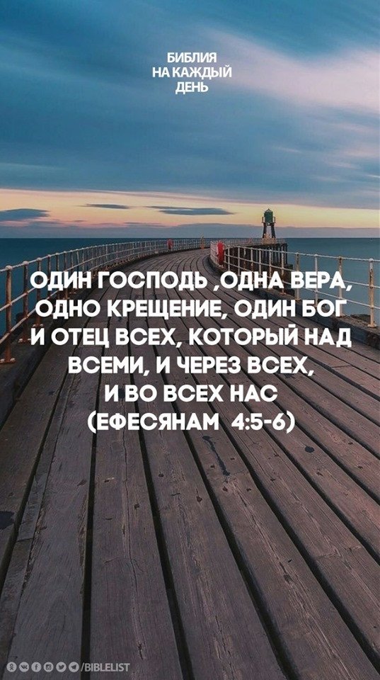 Svitlana (@svitlan92845370) on Twitter photo 