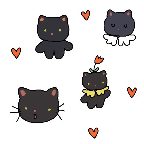 black cats request 