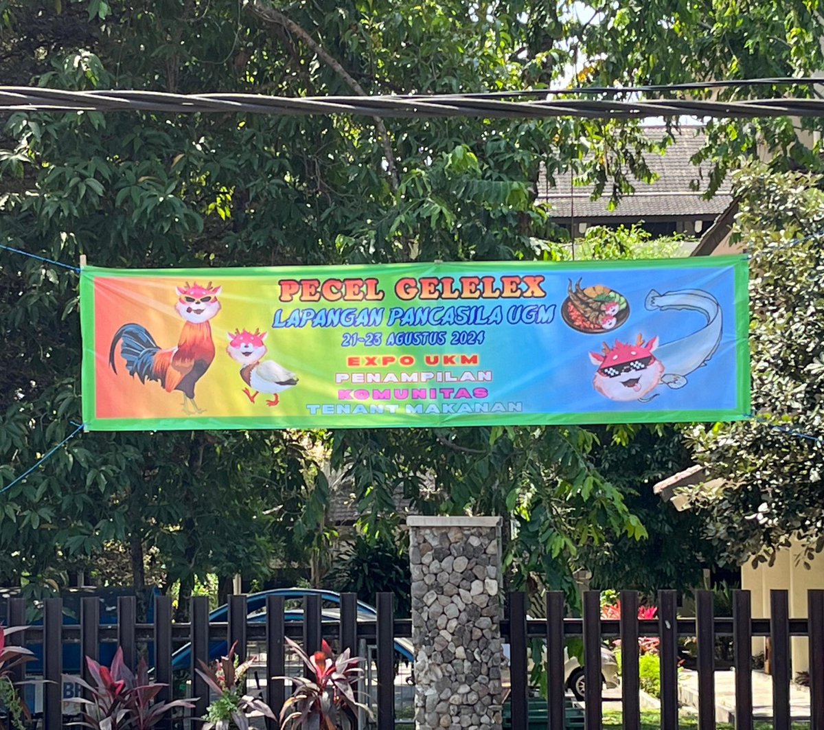 d(r)ied apricot tweet media