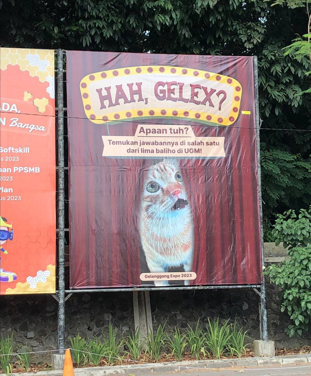 d(r)ied apricot tweet media