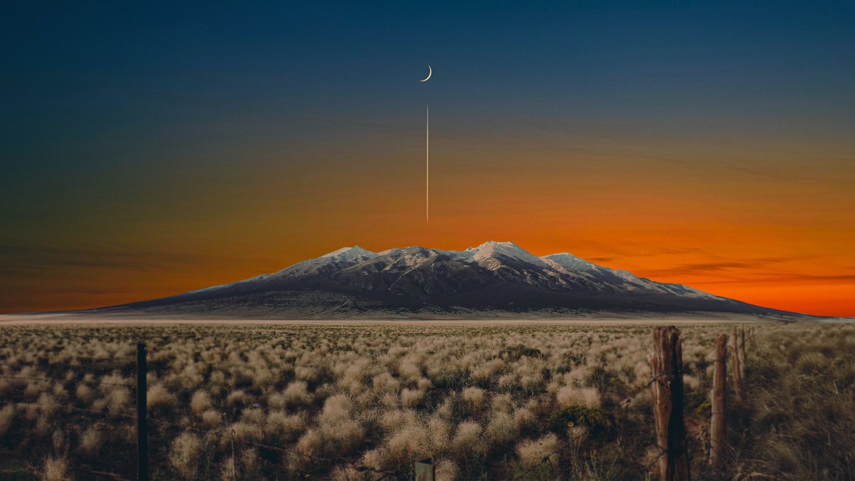 POSTWOOK's tweet image. echoes inside my mind