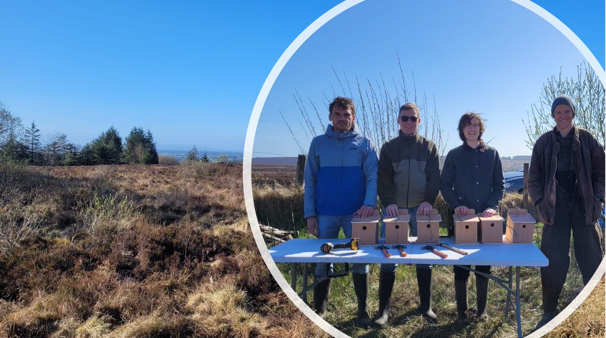 Brendan Smith (@speediecelt) on Twitter photo North & South #Ireland unite to Restore Native Ecosystems.With a Community #ClimateAction grant from <a href="/GalwayCityCo/">Galway City Council</a>, #TerrylandForest Park has partnered with #Fermanagh NGO on an all-island #rewilding 'Nature without Borders' project. Photo shows our volunteers on Sat in Fermanagh North & South #Ireland unite to Restore Native Ecosystems.With a Community #ClimateAction grant from <a href="/GalwayCityCo/">Galway City Council</a>, #TerrylandForest Park has partnered with #Fermanagh NGO on an all-island #rewilding 'Nature without Borders' project. Photo shows our volunteers on Sat in Fermanagh