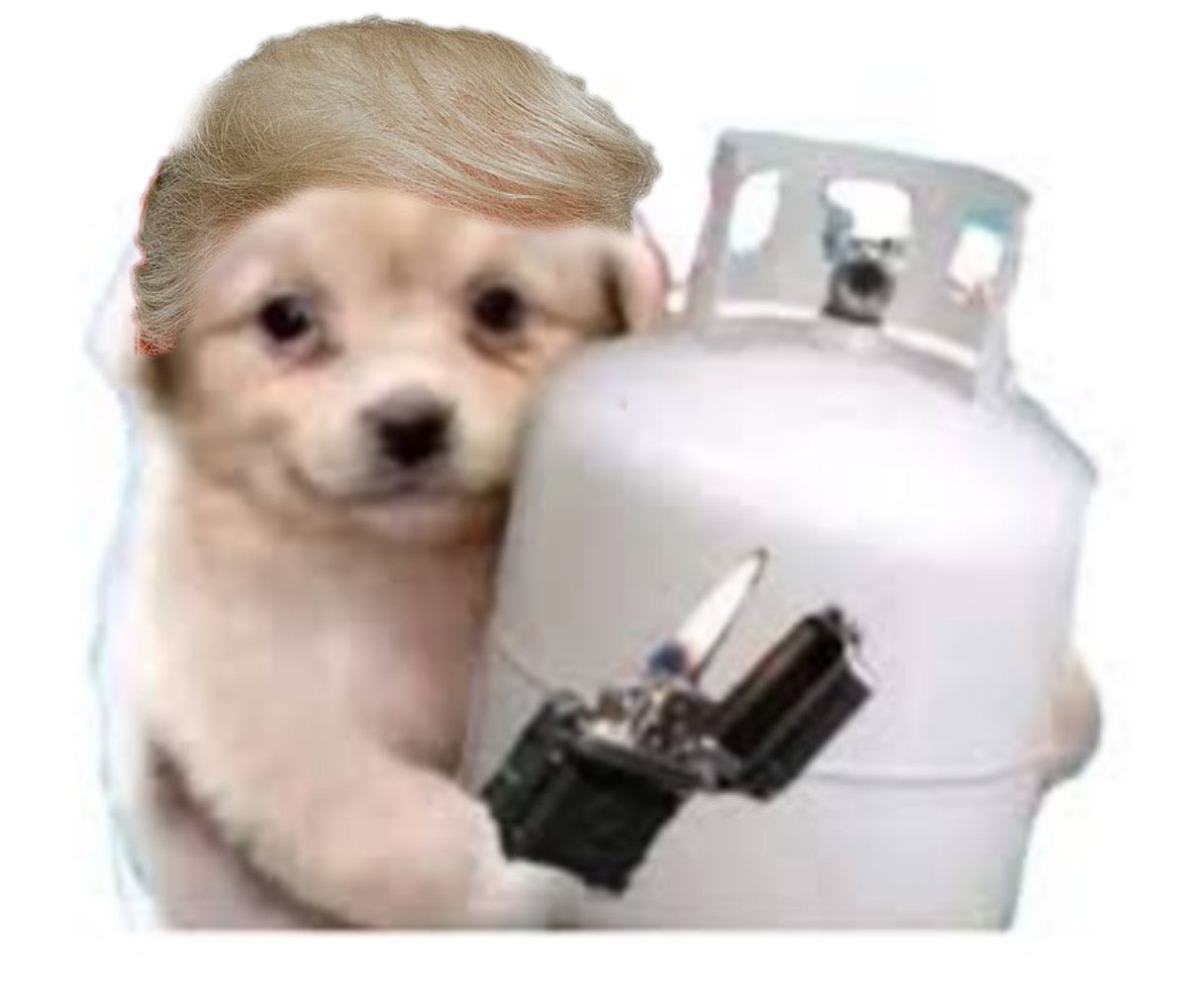 #DonaldTrump diciendo: “O reviento a china o reventamos todos” #LunesNegro