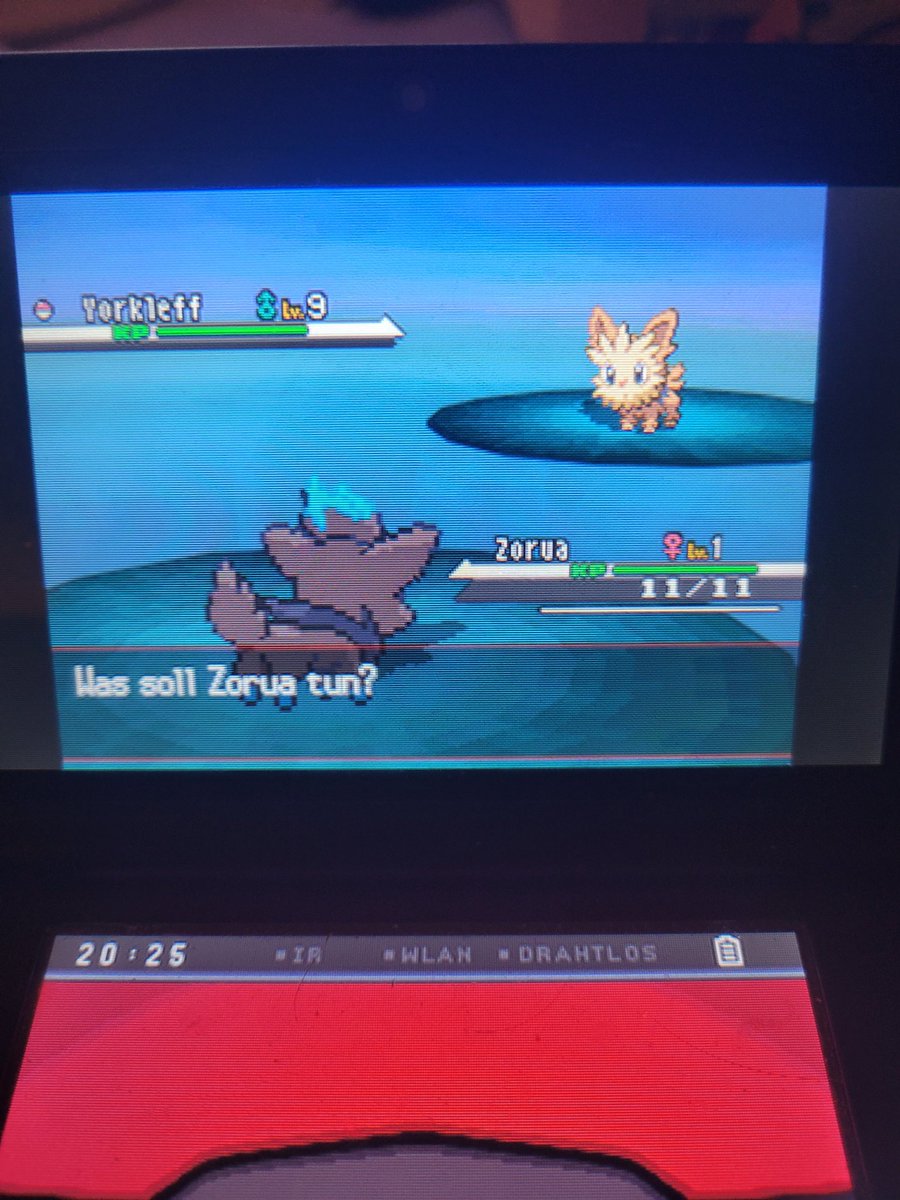 GianPfaender's tweet image. OMFG!!!!!!! Full odds shiny female zorua in white after 955 eggs. I can't believe it.