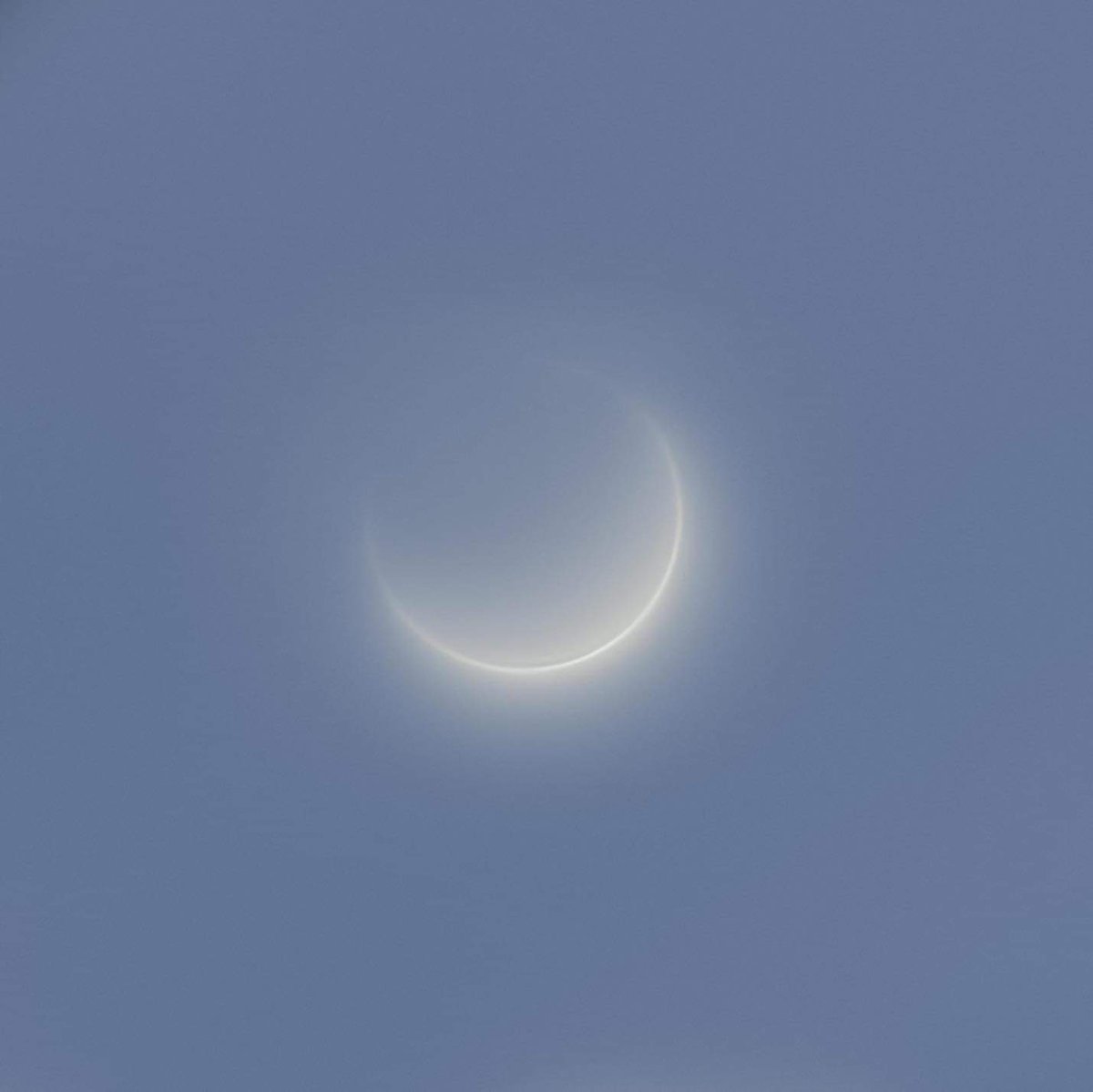 engezzi's tweet image. 