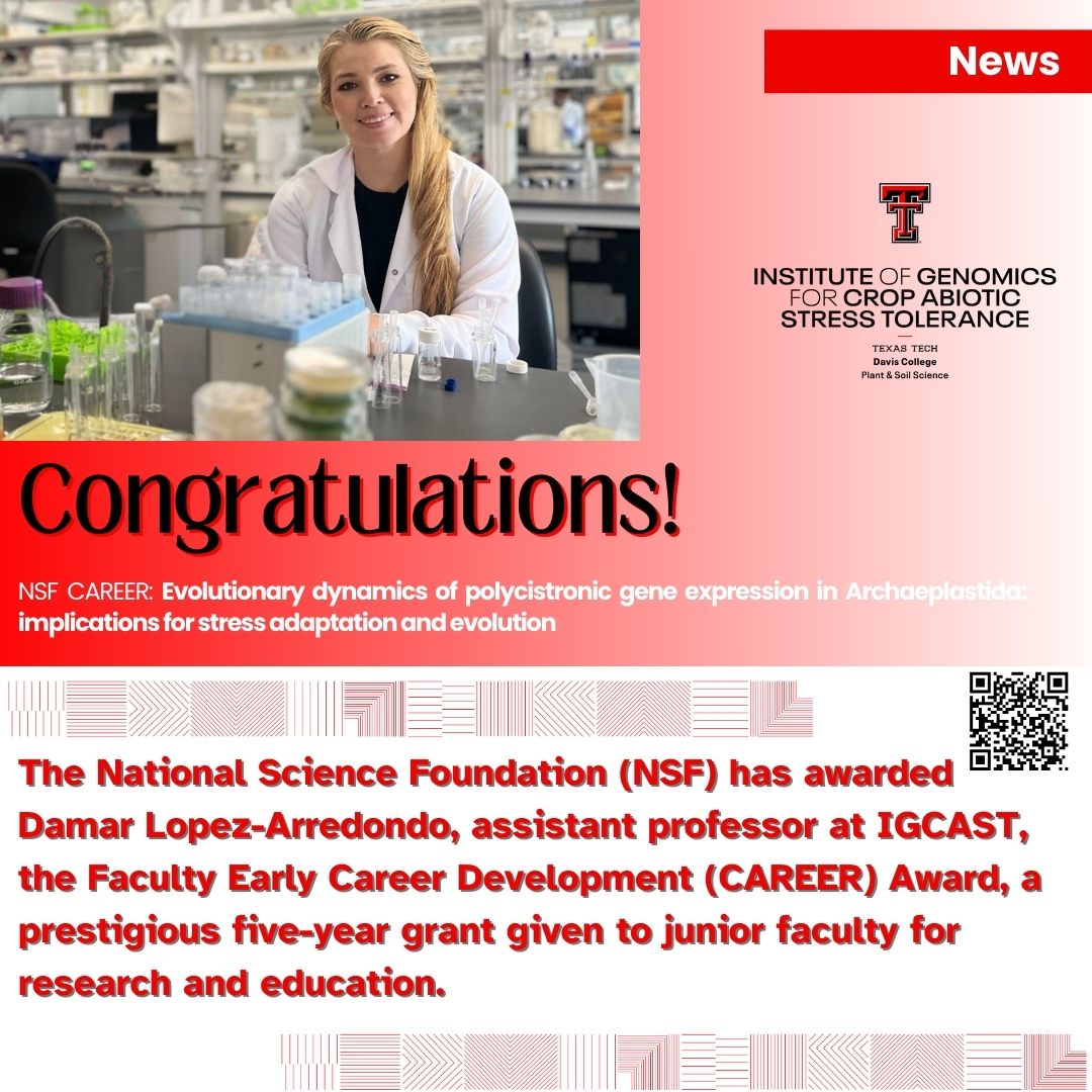 Texas Tech University IGCAST tweet media