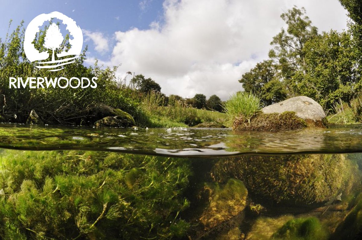 Ready to plant the seeds of change? The #Riverwoods Development Grant funds the initial steps for river woodland projects to restore Scotland's river catchments.
Find out more &amp; apply here: tinyurl.com/y4yahvke
#NatureBasedSolutions #KeepRiversCool
 © 2020VISION