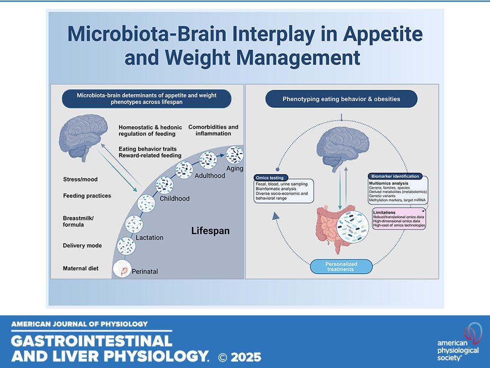 ajpgi's tweet photo. 📃#AppetiteRegulation is complex, influenced by gut microbiota and metabolism. New omics & gut-targeted strategies may redefine obesity treatment!
https://t.co/V5EnPXOxP0
#MicrobiotaGutBrainAxis @Cristinacuestam @RibeiroCR_Gabri https://t.co/z767utn5IE