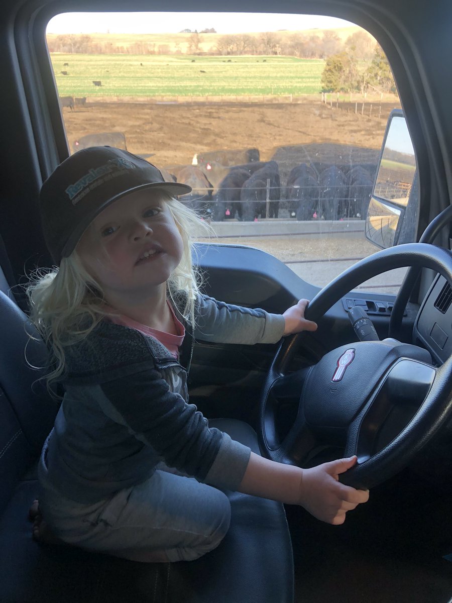 Feed truck supervisor wanted to wear my hat and feed “her” cattle, says she’s a cattle feeder now, I think as soon as her feet reach the pedals she will be qualified.