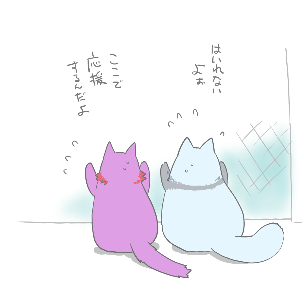 あまりにも締め出されているねこちゃんだった 