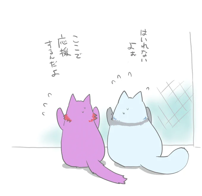 あまりにも締め出されているねこちゃんだった 