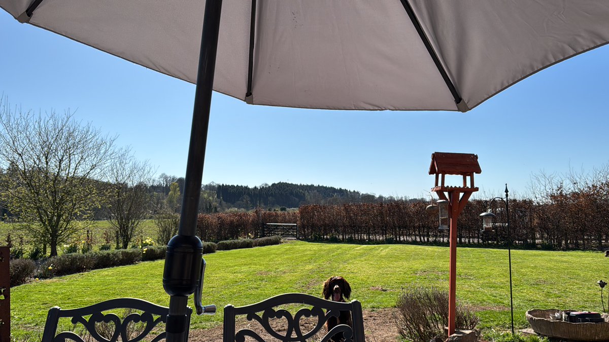 That’s the Grass cut at #abbeyfarmhouse.