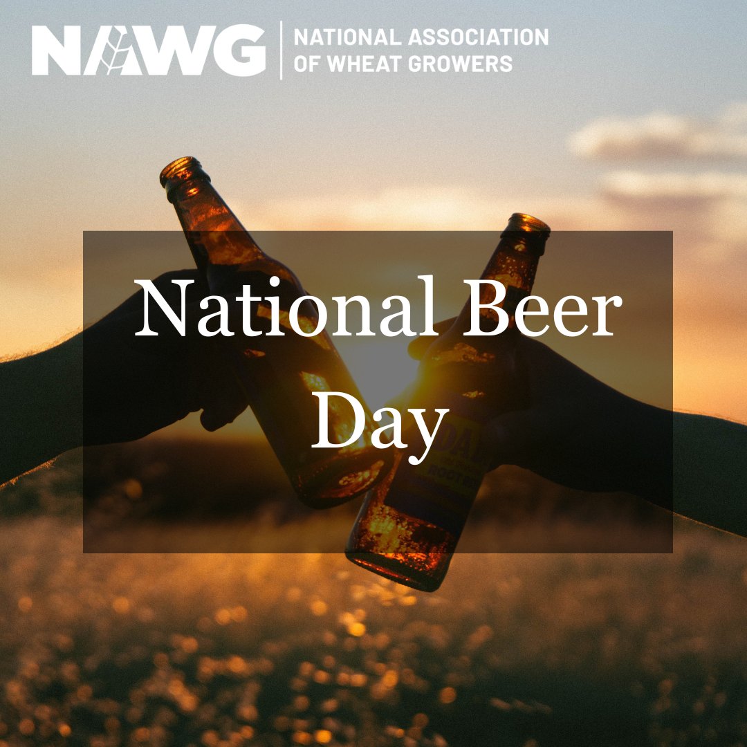 Raise a glass to the grain that started it all! National Beer Day is a toast to the farmers behind every pint. Cheers!