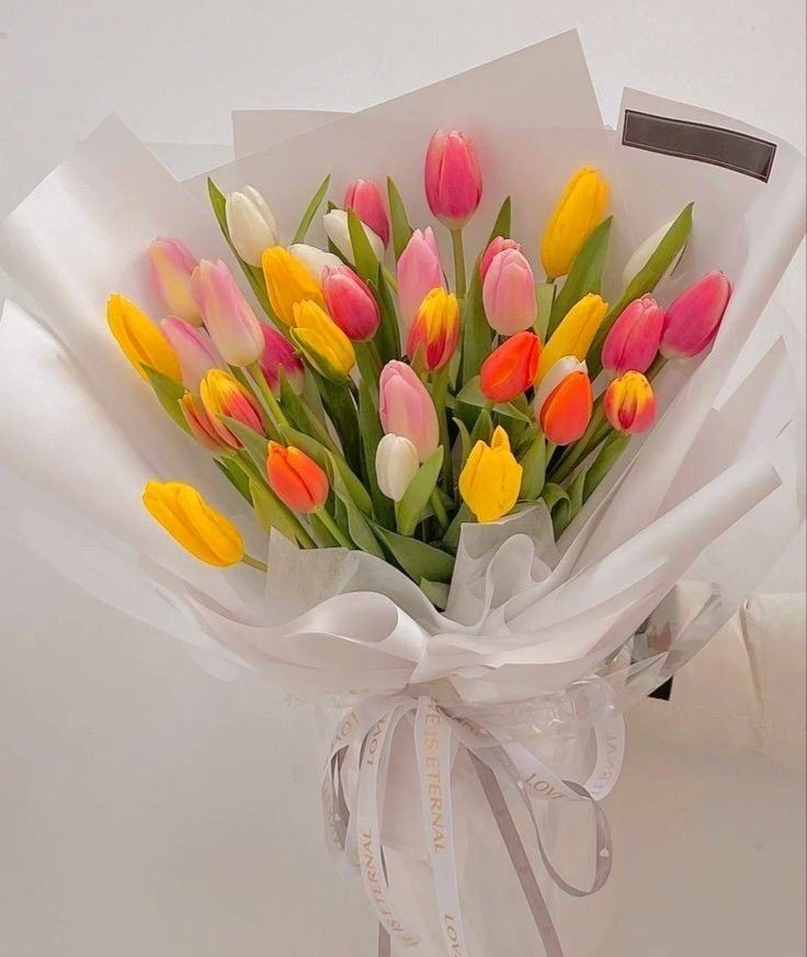 Beautiful tulips