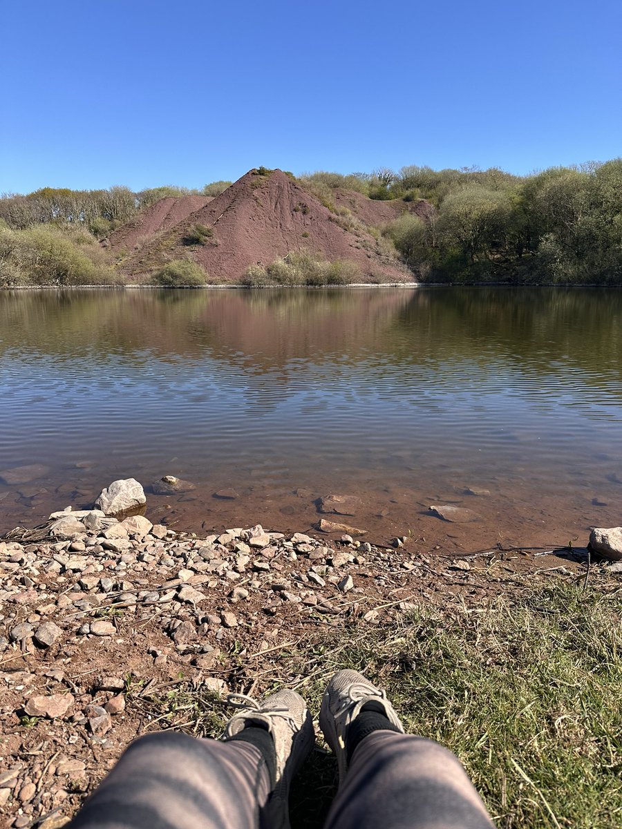 Emily Kavanagh tweet media