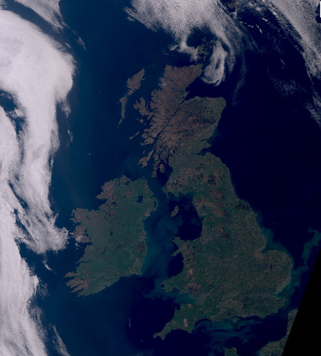 barrabest tweet picture