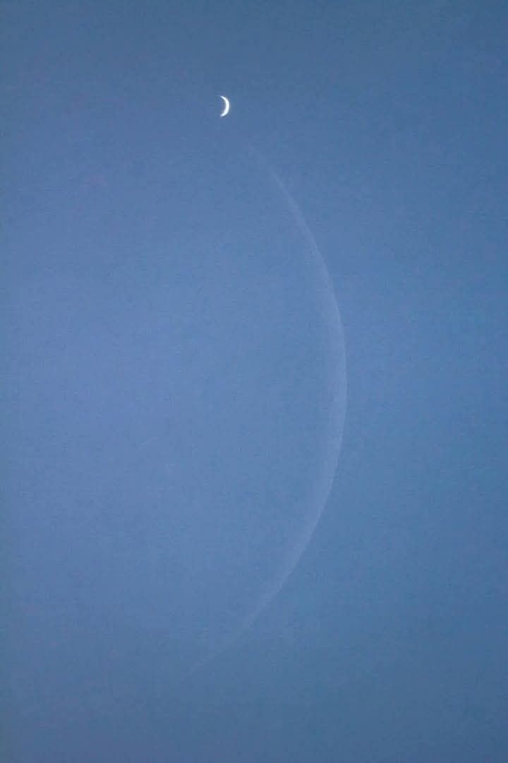 engezzi's tweet image. 