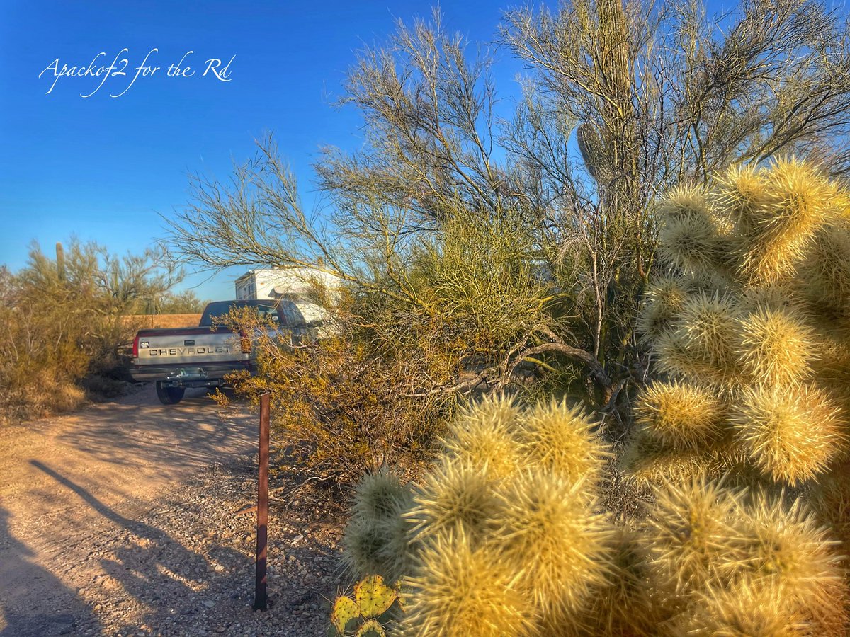Apackof2Redux's tweet image. Good Morning from Gilbert Ray County Campground in Tucson, Arizona #apackof2 #fulltimervers