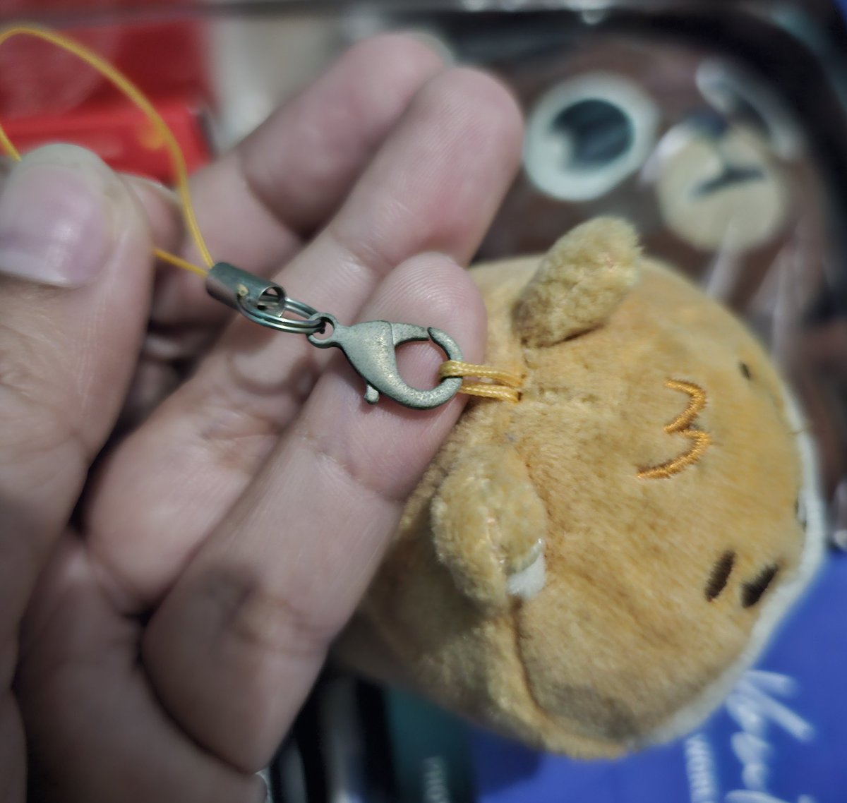 youngksungwon's tweet photo. WTS PETITE KE + PIN

Price offer aja di dm
Belum pernah dibawa keluar tapi debu penyimpanan.
Condi sesuai gambar

#wtsday6 #wtsday6stuff https://t.co/JvfIZgOYHT