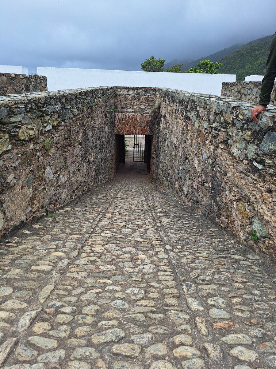 GE OIKOS tweet media