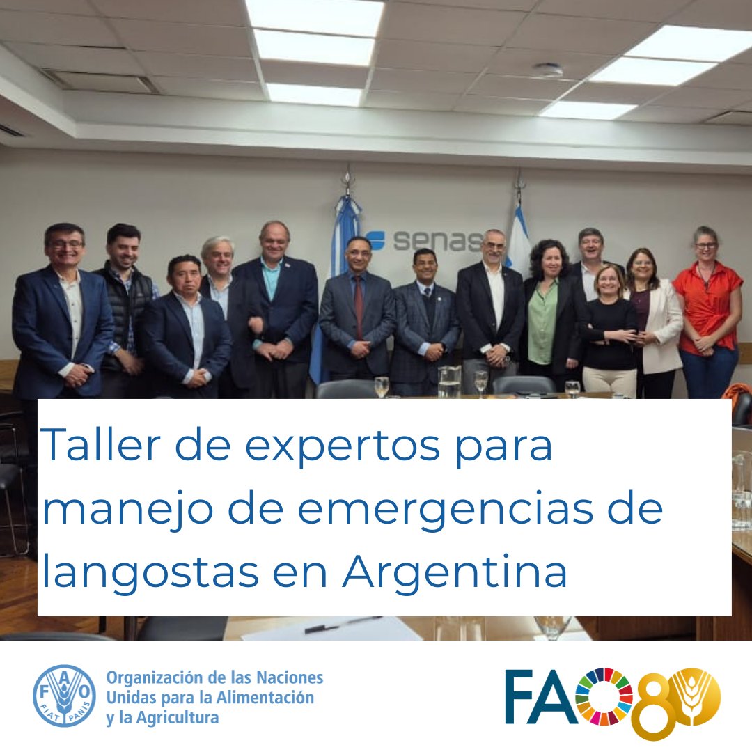 📍En Argentina 🇦🇷
Inicia taller de expertos y expertas para el manejo de emergencias de langostas, con la participación del líder mundial del programa de langostas de <a href="/FAO/">Food and Agriculture Organization</a> shoki AlDobai y Mohammed Lemine de <a href="/FAOAlgerie/">FAO Algérie</a> y equipo de Mesoamérica.
#MejorProducción🦗
#SanidadVegetal