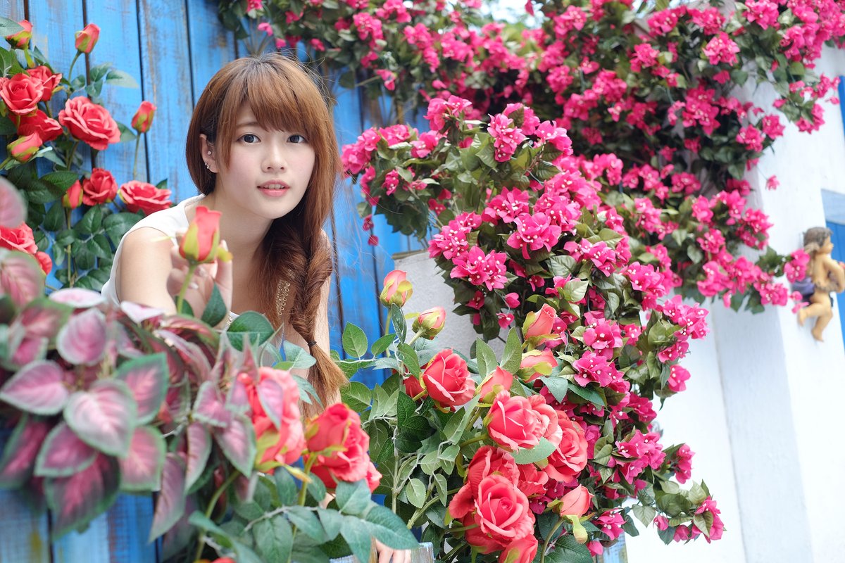 JAV MOVIES Miller tweet media