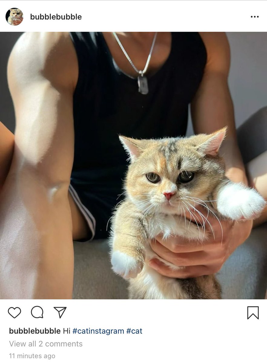 viviennefazfood's tweet photo. iwa x fem!reader iwa jadi selebgram kucing tapi fotonya sekalian flexing muscle (tapi zaman masih merintis) https://t.co/t4WqlNyPun