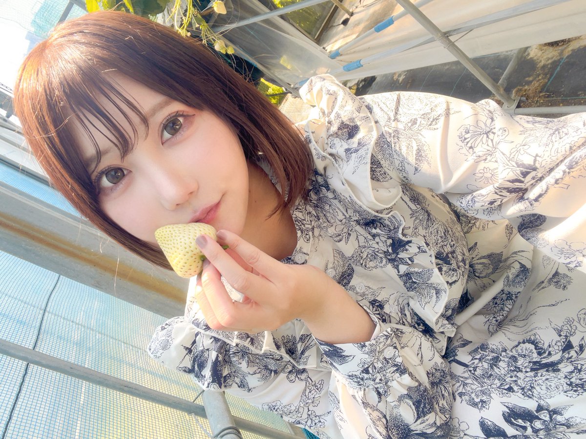 小鳥遊くれあ🐤💜 (@kurea_primo) / X