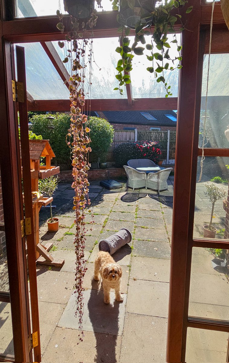 char_bone's tweet image. The best office!