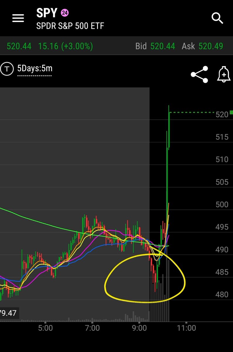 Bear trap city $SPY 

Too many bears sitting on the same branch betting on Black Monday