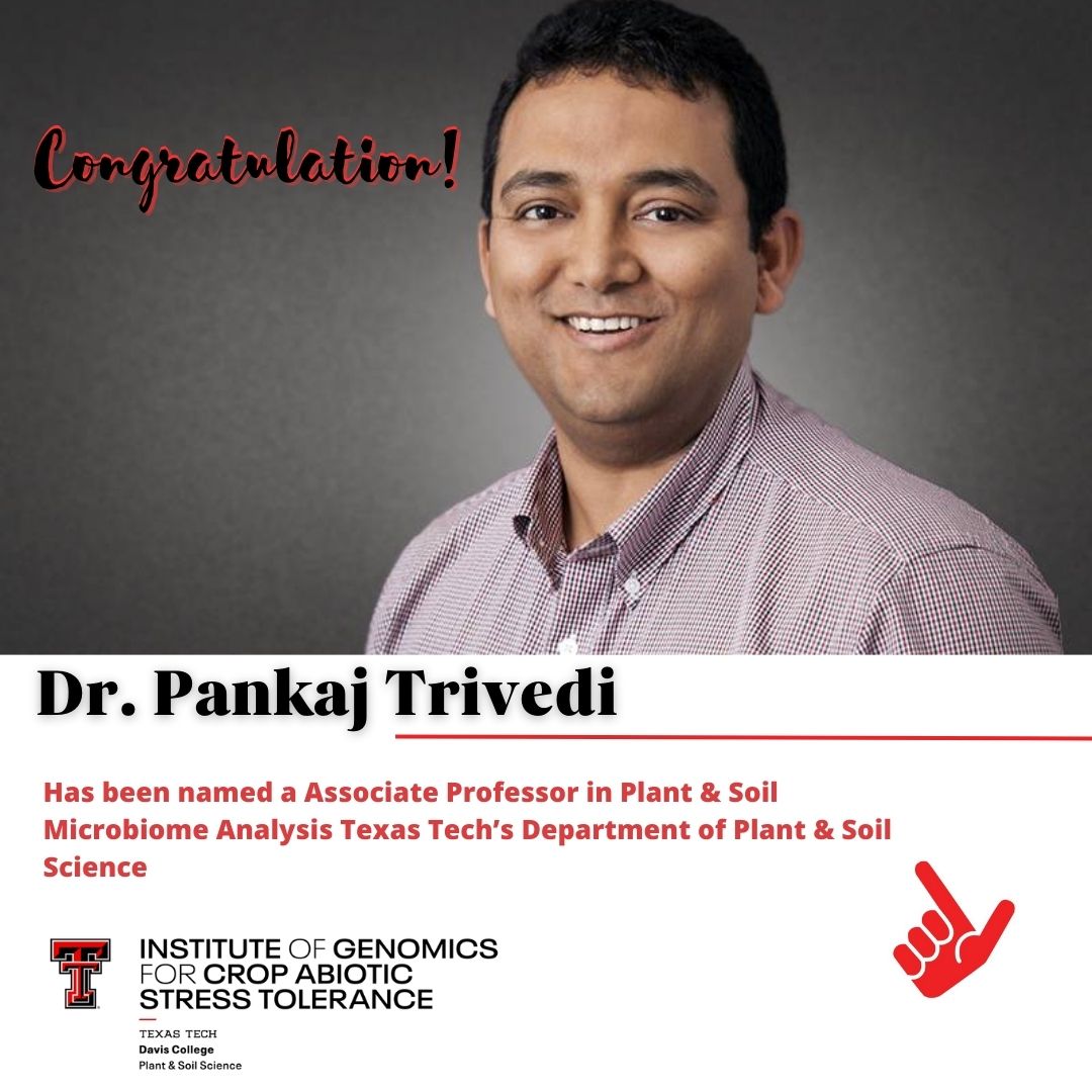 Texas Tech University IGCAST tweet media