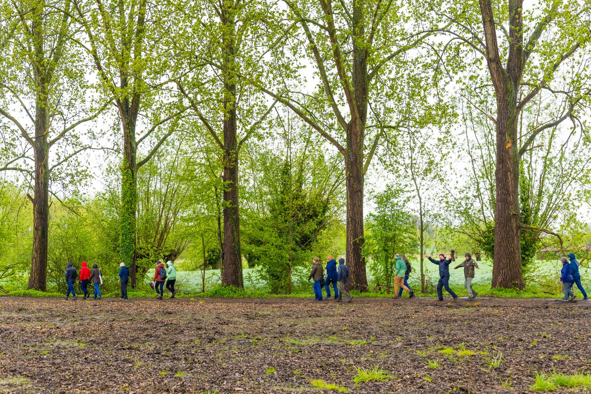 We hebben weer een heel aantal interessante #vacatures!

🌳 Jobstudenten in alle soorten en maten (deadline 9 april)
🌳 Specialist overheidsopdrachten natuur- en bosbeheer (deadline 9 april)
🌳 Leidinggevende natuurbeheerplannen (deadline 23 april)
🌳 Business- en