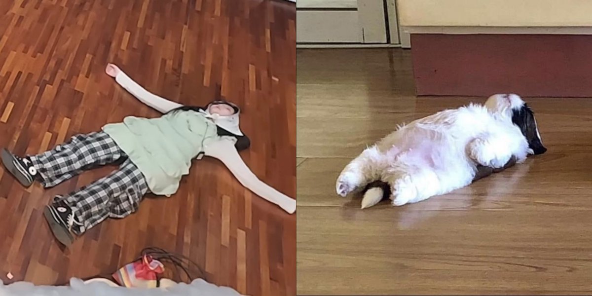 wonhee pics (@wonheepic) on Twitter photo 