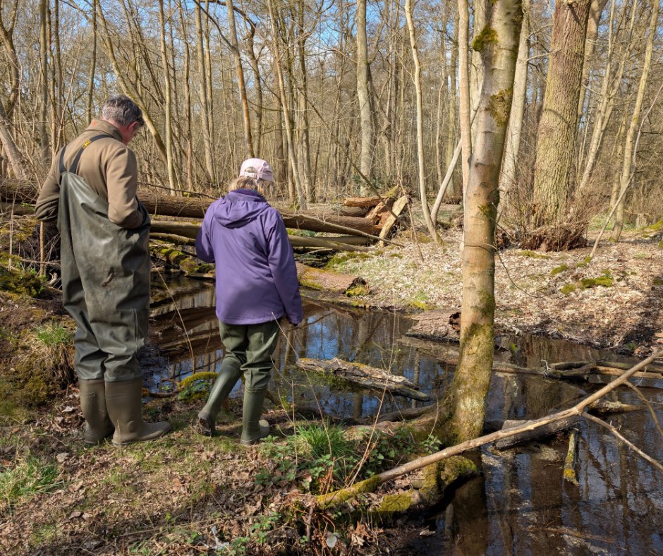We’re seeking a new Chair for our Board of Trustees! We're a small, dynamic charity that restores the health of rivers for the benefit of wild brown trout and many other species. Applications close at midnight on Wednesday 30th May 2025. More info: wildtrout.org/news/wild-trou…