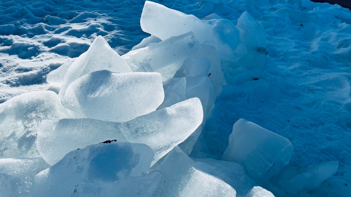 Mark Harding tweet media