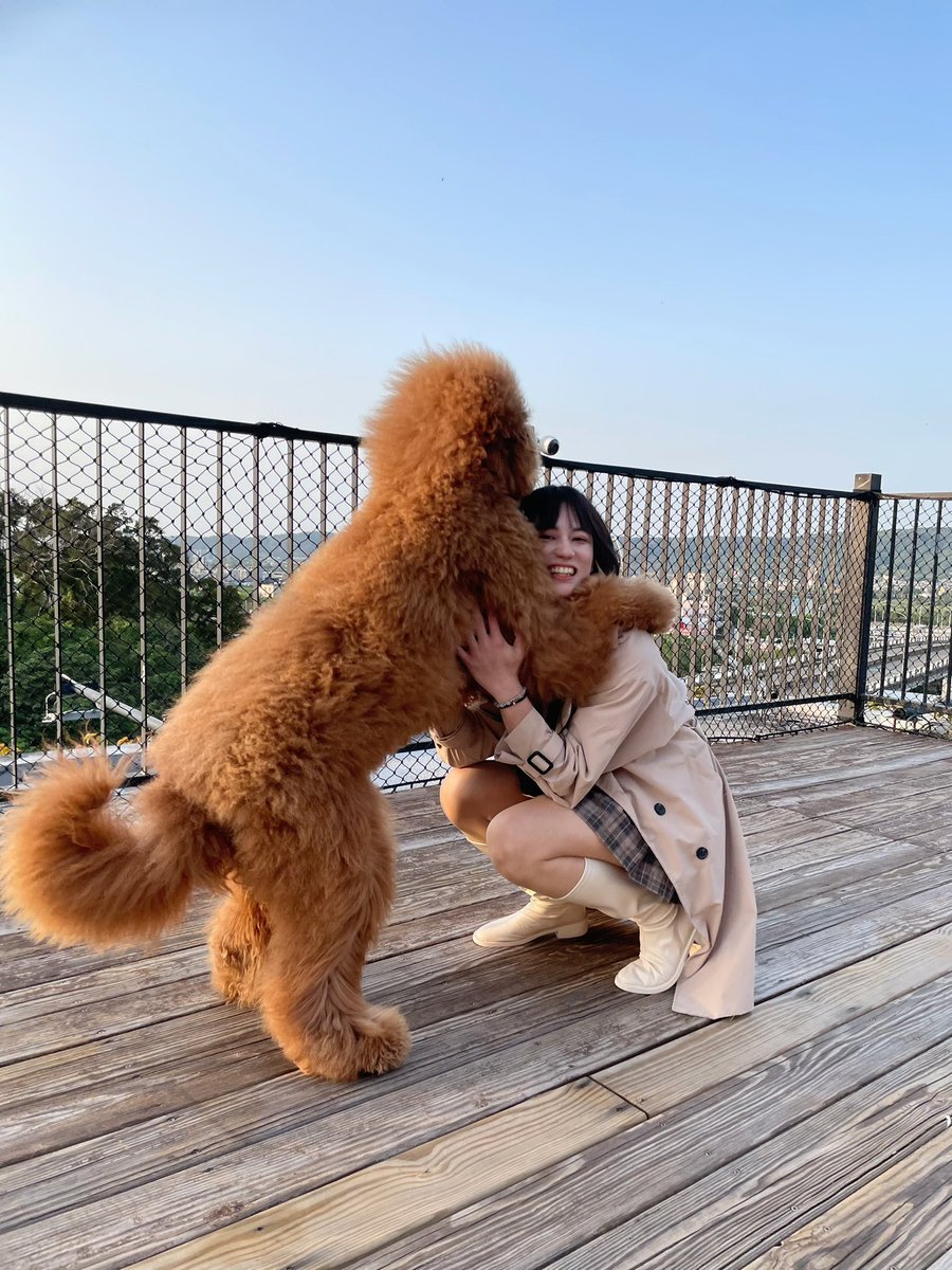 Fia Queena（m) tweet media