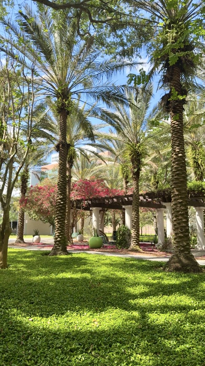 Spring on campus😍🌺