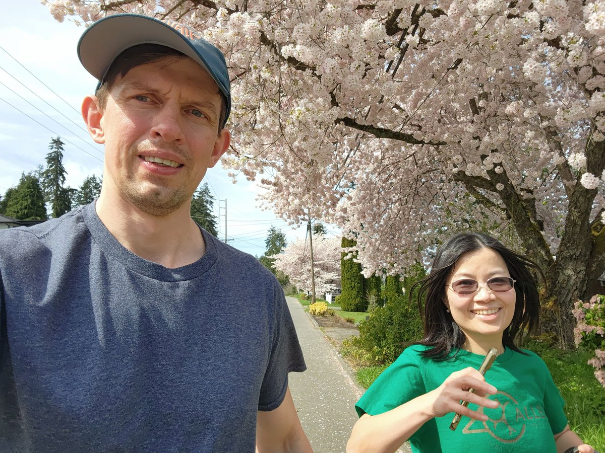AntonSArkhipov's tweet image. You can see the lovely cherry blossoms @UW. So pretty.
Or, you can check out the suburbs, where orchards used to be. There are still plenty of cherries and other trees. No crowds, and the blossoms are beautiful. Or, you can enjoy both places!
#uwcherryblossoms