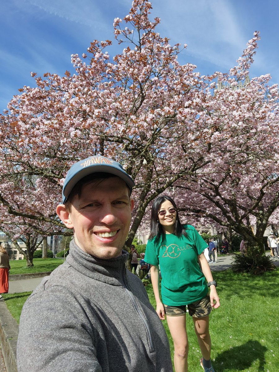 AntonSArkhipov's tweet image. You can see the lovely cherry blossoms @UW. So pretty.
Or, you can check out the suburbs, where orchards used to be. There are still plenty of cherries and other trees. No crowds, and the blossoms are beautiful. Or, you can enjoy both places!
#uwcherryblossoms